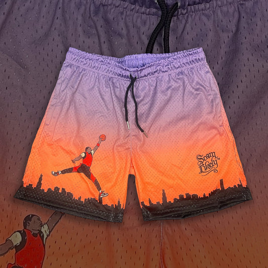 Vintage Air Jordan Insert Card Shorts